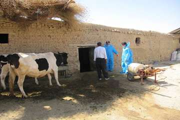 عملكرد شبكه دامپزشكي شهرستان آذرشهر به روايت تصوير