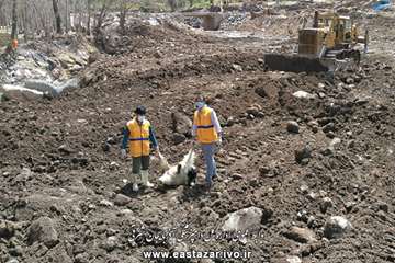 گزارش تصویری از اقدامات دامپزشکی در روستاهای سیل زده عجبشیر