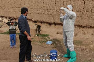 بمناسبت ایام ا... دهه فجر انجام واکسیناسیون، سمپاشی اماکن دامی و ویزیت رایگان دام های روستایی در روس