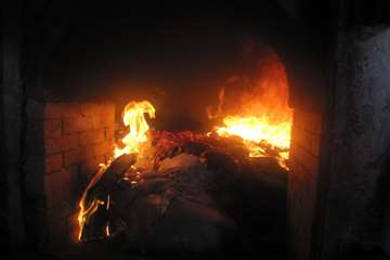 عملكرد شبكه دامپزشكي شهرستان بناب به روايت تصوير