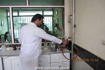 عملکرد اداره دامپزشکی شهرستان ملکان به روایت تصویر