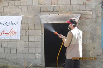 عملكرد شبكه دامپزشكي شهرستان ملكان به روايت تصوير