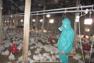 عملکرد اداره دامپزشکی شهرستان ملکان به روایت تصویر