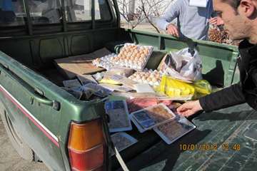 عملكرد شبكه دامپزشكي شهرستان ملكان به روايت تصوير