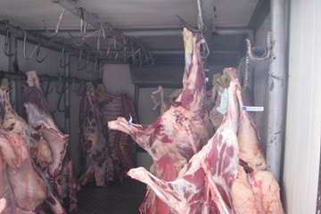 عملكرد شبكه دامپزشكي شهرستان تبريز به روايت تصوير