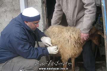 گزارش تصویری ویزیت و معاینه رایگان به مناسبت دهه فجر در شهرستانهای استان آذربایجان شرقی