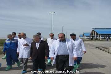 گزارش تصویری بازدید ریاست محترم سازمان دامپزشکی کشور ازمجتمع کشت وصنعت خاوران