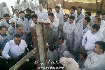 کلاس عملی تست سل گاوی