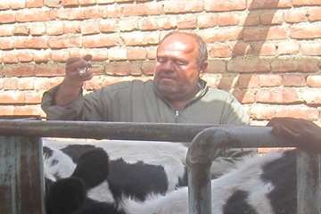 عملكرد شبكه دامپزشكي شهرستان عجب شير به روايت تصوير