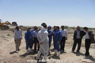 گزارش تصویری عملیات کنترل بیماری لمپی اسکین در استان آذربایجانشرقی