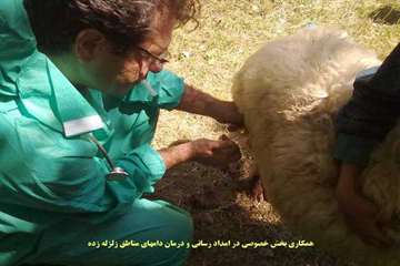 عملكرد شبكه دامپزشكي شهرستان اهر به روايت تصوير