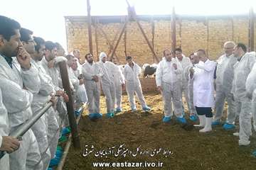 کلاس عملی تست سل گاوی