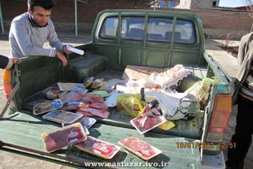 عملکرد اداره دامپزشکی شهرستان ملکان به روایت تصویر