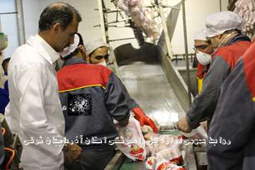 گزارش تصویری تور عکاسی جشنواره بیطار