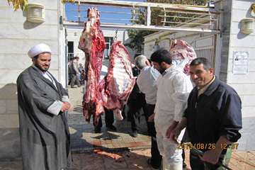 عملكرد شبكه دامپزشكي شهرستان هشترود به روايت تصوير