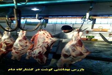 عملكرد شبكه دامپزشكي شهرستان اهر به روايت تصوير