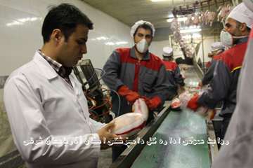 گزارش تصویری تور عکاسی جشنواره بیطار