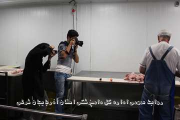 گزارش تصویری تور عکاسی جشنواره بیطار