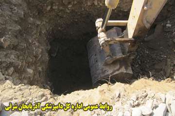 دفن بهداشتي لاشه هاي دامهاي تلف شده در زلزله آذربايجان شرقي