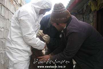 گزارش تصویری ویزیت و معاینه رایگان به مناسبت دهه فجر در شهرستانهای استان آذربایجان شرقی