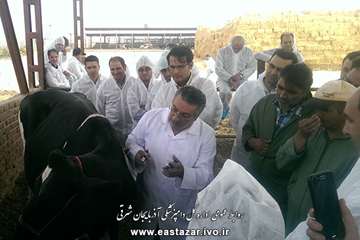 کلاس عملی تست سل گاوی