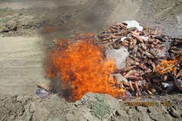 عملكرد شبكه دامپزشكي شهرستان شبستر به روايت تصوير