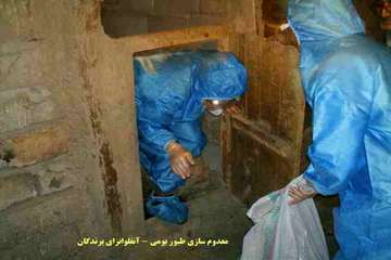 عملكرد شبكه دامپزشكي شهرستان اهر به روايت تصوير