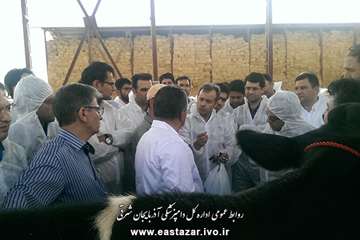 کلاس عملی تست سل گاوی