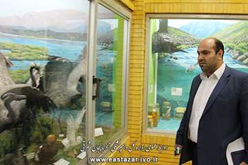 گزارش تصویری بازدید مدیر کل دامپزشکی استان از موزه حیات طبیعی