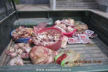 عملکرد اداره دامپزشکی شهرستان ملکان به روایت تصویر