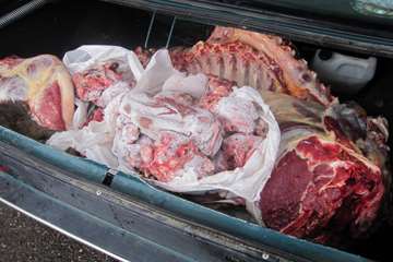 عملكرد شبكه دامپزشكي شهرستان بناب به روايت تصوير