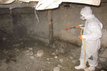 عملكرد شبكه دامپزشكي شهرستان تبريز به روايت تصوير