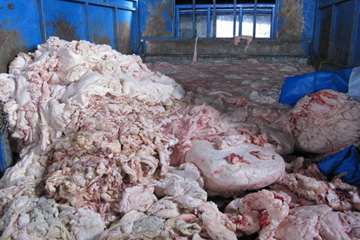 عملكرد شبكه دامپزشكي شهرستان بناب به روايت تصوير