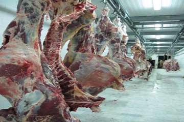 عملكرد شبكه دامپزشكي شهرستان بناب به روايت تصوير