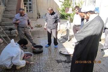 عملكرد شبكه دامپزشكي شهرستان هشترود به روايت تصوير