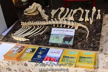 گزارش تصویری نمایشگاه هفته دولت در سازمان جهاد کشاورزی استان