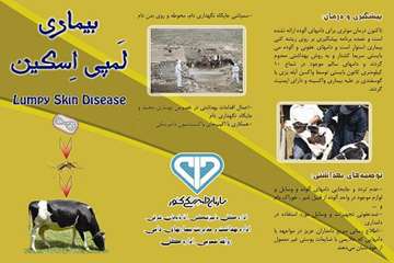 گزارش تصویری عملیات کنترل بیماری لمپی اسکین در استان آذربایجانشرقی