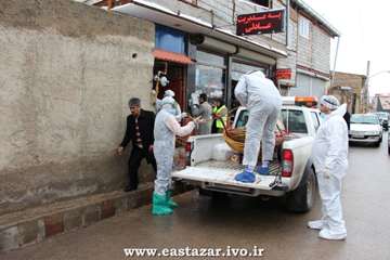 گزارش تصویری مانور پدافند غیر عامل برای مقابله با بیماری آنفلوانزای فوق حاد پرندگان