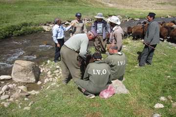 عملكرد شبكه دامپزشكي شهرستان بناب به روايت تصوير