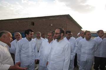 عملكرد شبكه دامپزشكي شهرستان بناب به روايت تصوير