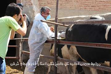 گزارش تصویری تور عکاسی جشنواره بیطار