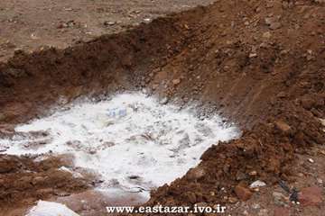 گزارش تصویری مانور پدافند غیر عامل برای مقابله با بیماری آنفلوانزای فوق حاد پرندگان
