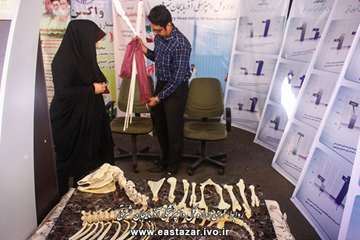 گزارش تصویری نمایشگاه هفته دولت در سازمان جهاد کشاورزی استان