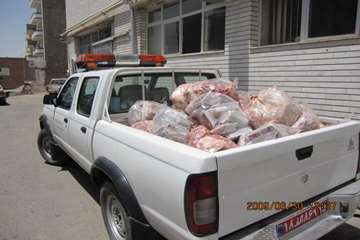 عملكرد شبكه دامپزشكي شهرستان تبريز به روايت تصوير