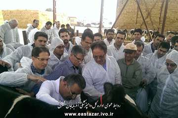 کلاس عملی تست سل گاوی