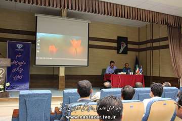 جلسه هم اندیشی رابطین فاوا