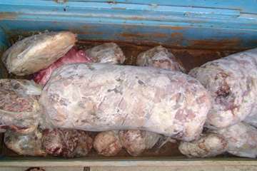 عملكرد شبكه دامپزشكي شهرستان بناب به روايت تصوير