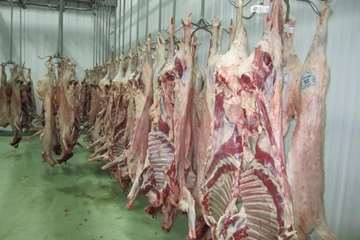 عملكرد شبكه دامپزشكي شهرستان بناب به روايت تصوير