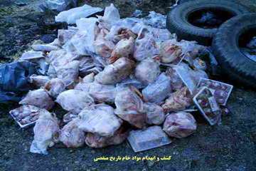 عملكرد شبكه دامپزشكي شهرستان اهر به روايت تصوير