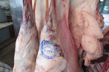 عملكرد شبكه دامپزشكي شهرستان شبستر به روايت تصوير